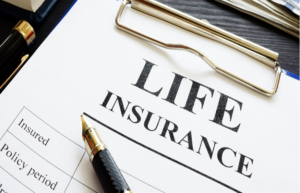 The life insurance contract: the basics