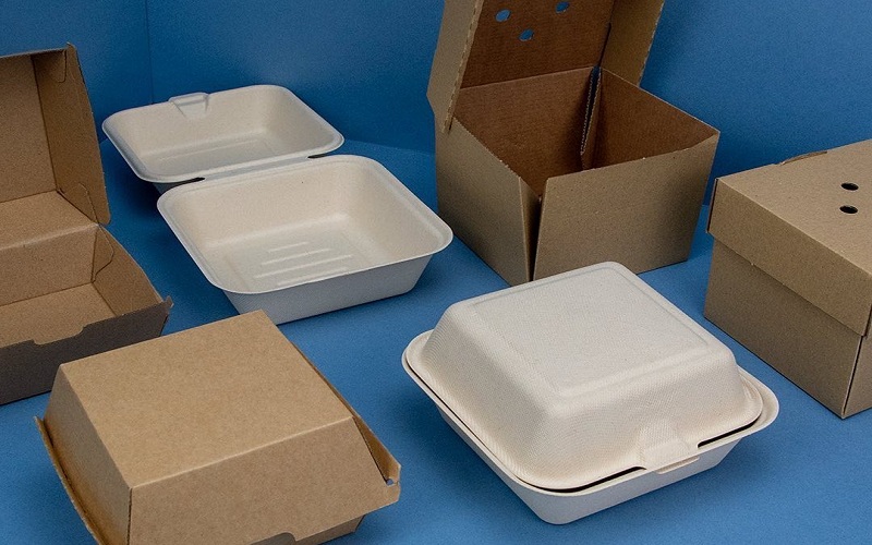 Why should modern food packaging players focus on the element of food containers?